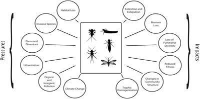 Editorial: Aquatic insect ecology in a changing world